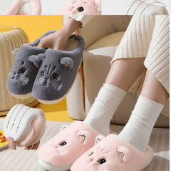 CozyPaws Slides