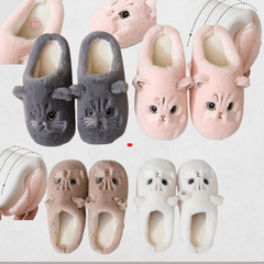 CozyPaws Slides